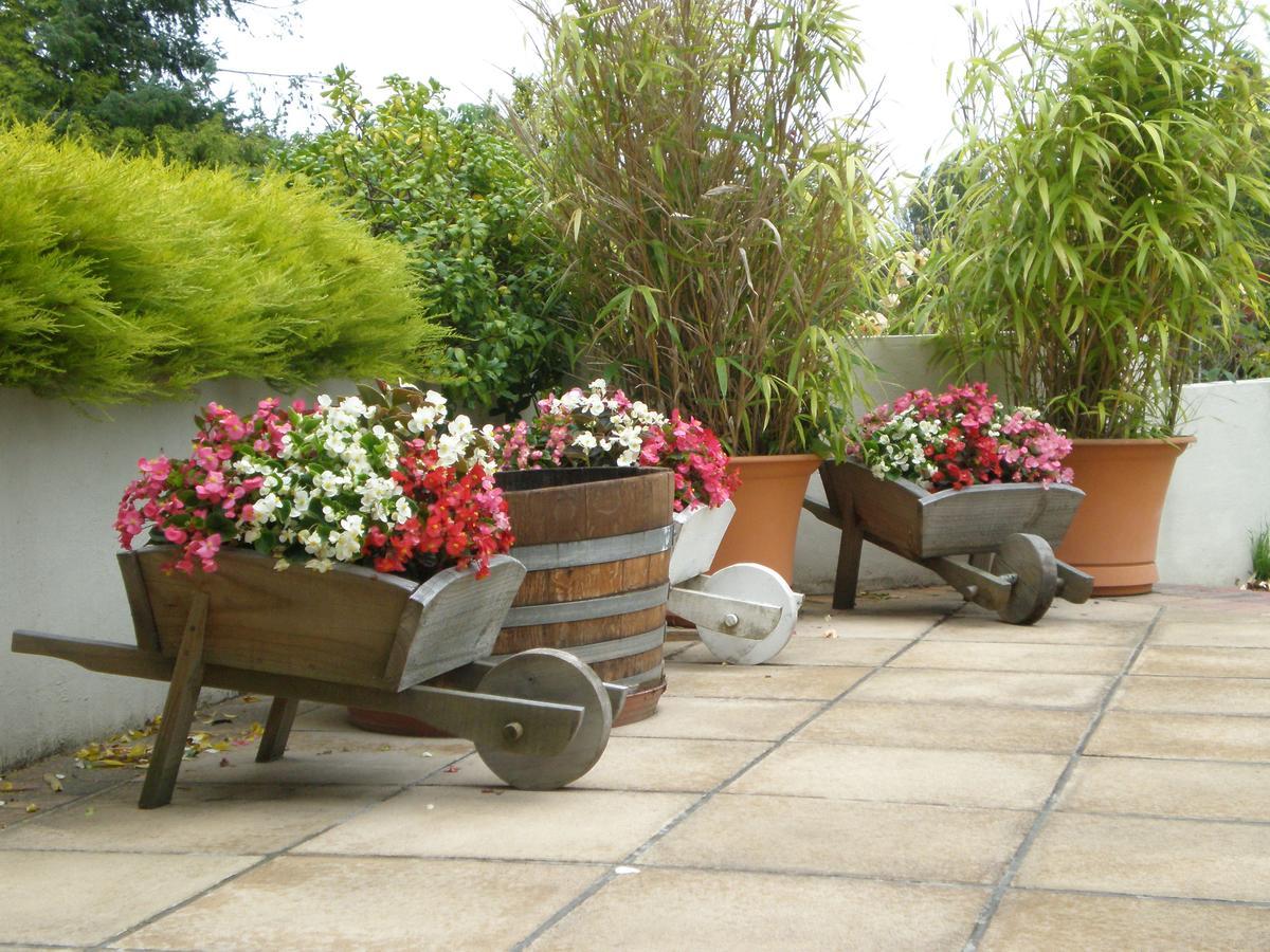 Shamrock Garden B&B Airport Christchurch Exterior photo